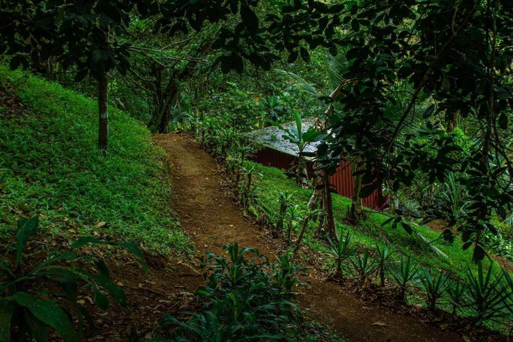 Cabana En La Montana Venecia Exteriér fotografie